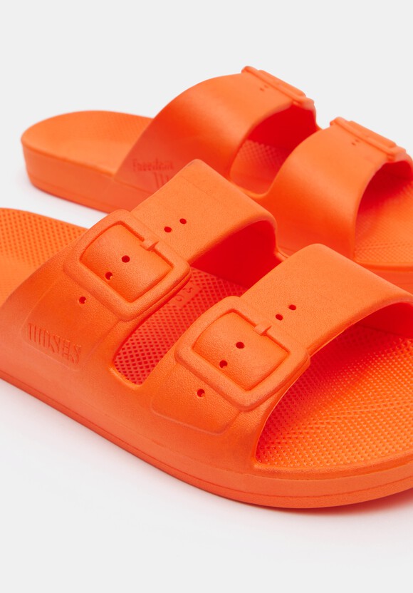 Freedom Moses Slides