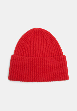 Denver  Beanie