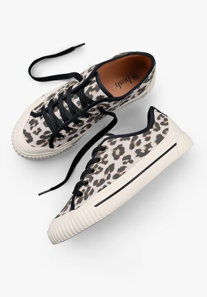 Leyton Canvas Trainers