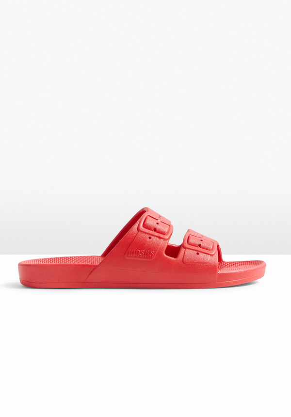 Freedom Moses Slides