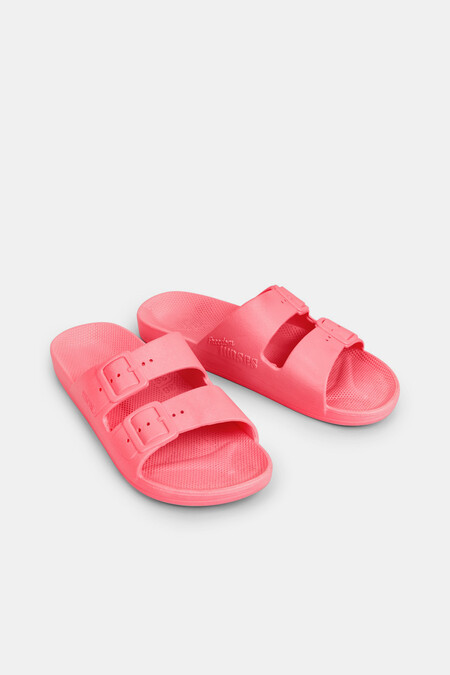 Freedom Moses Slides