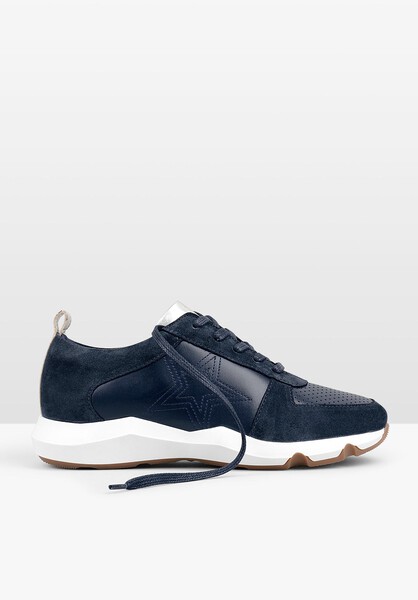 Fenton Trainers