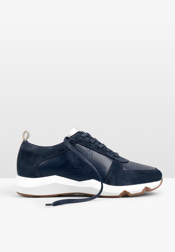 Fenton Trainers