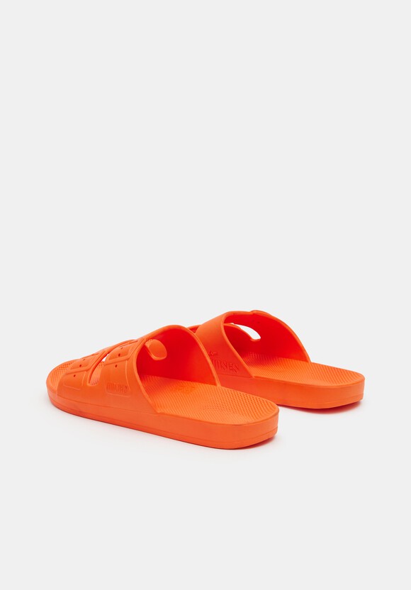 Freedom Moses Slides