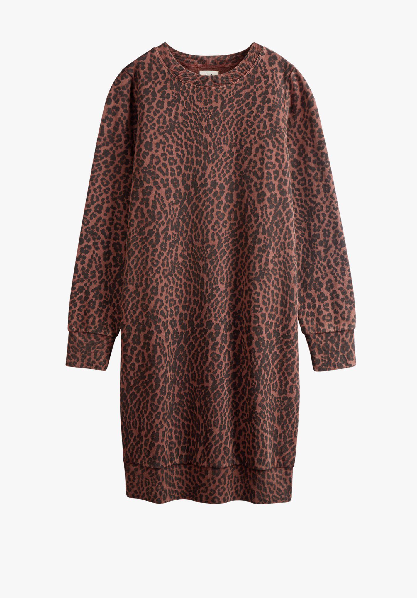 Leopard sweater dress sales