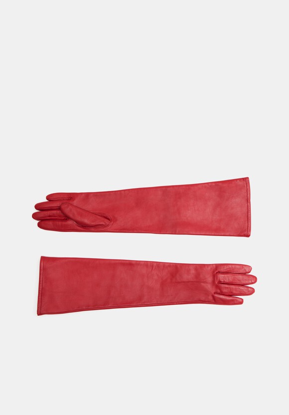 Dents Long Leather Gloves