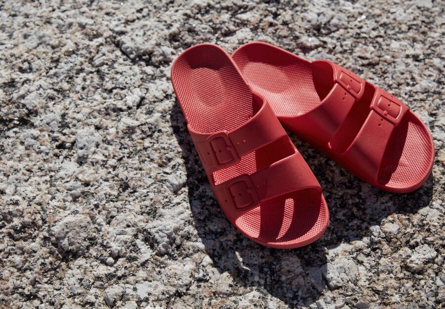 Freedom Moses Slides