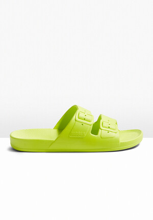 Freedom Moses Slides