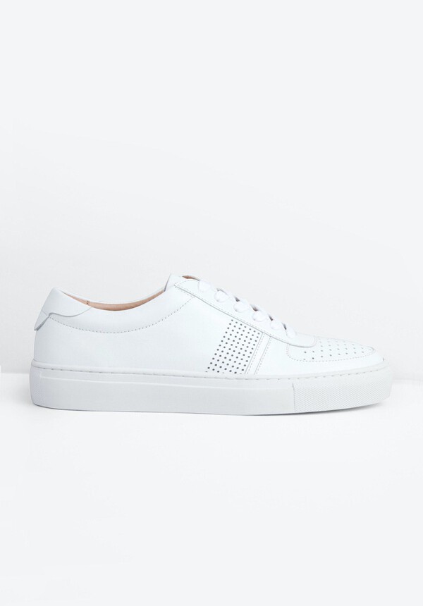 Cupar Trainers