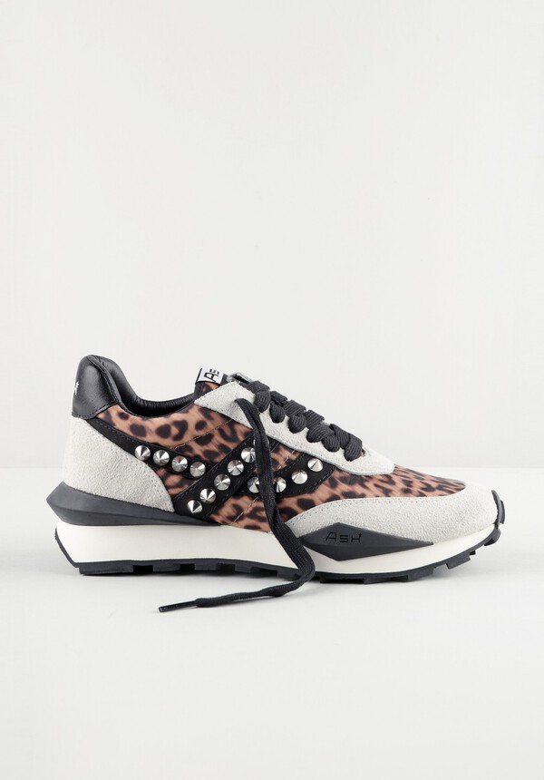 Spider Stud Trainers