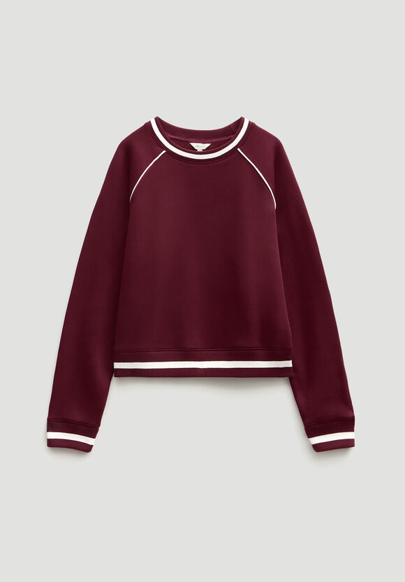 Striped Rib Raglan Sweatshirt