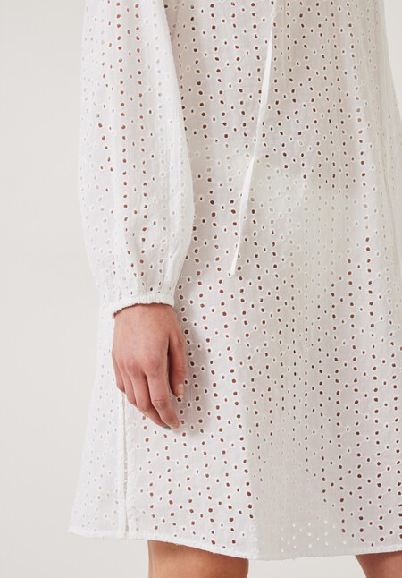Katy Broderie Mini Dress