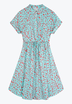 Hattie Shirt Dress