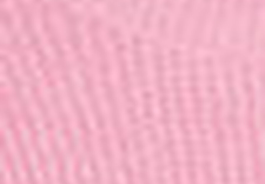 Le Soleil Slogan T-Shirt