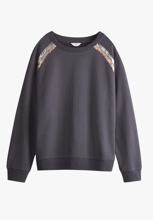 Aurelia Metallic Raglan Sweatshirt