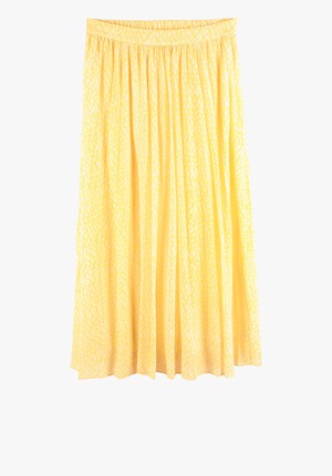 Pleated Chiffon Skirt