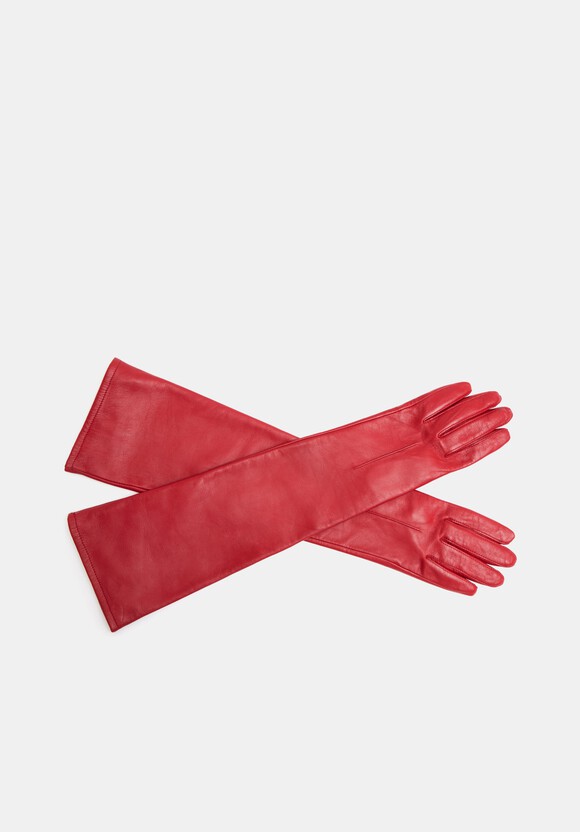 Dents Long Leather Gloves