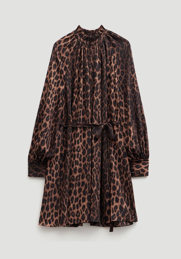Printed Chiffon Mini Dress