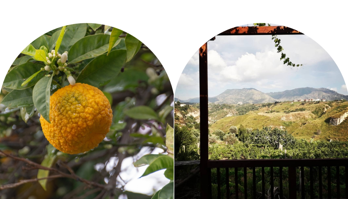 The five senses of Calabria hush